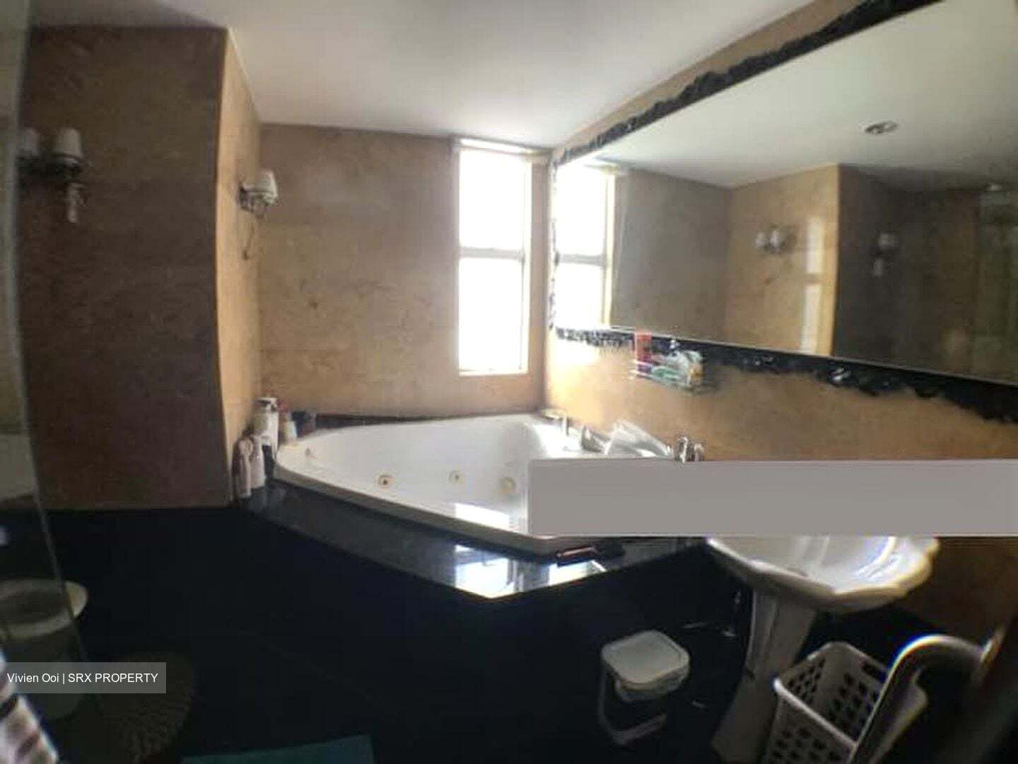 The Waterside (D15), Condominium #582278281